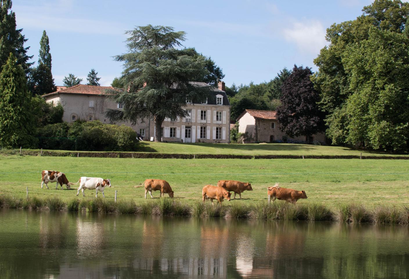 Découverte de la Ferme d'élevage BIO qui entoure le Masbareau, Maison d'Hôtes de Charme avec Table d'Hôtes de Charme, Gîte à Royères en Haute-Vienne, Limousin, Nouvelle Aquitaine