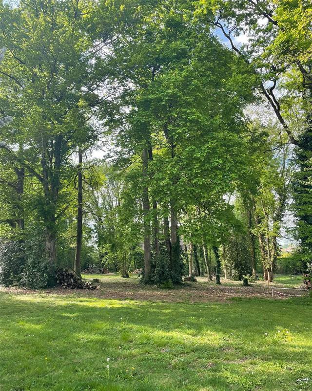 Parc arboré de 1 hectare