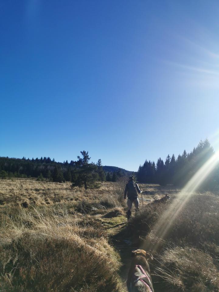 Au coeur du Parc Naturel Régional de Millevaches & des Gorges de la Dordogne