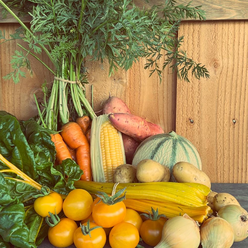 Profitez des légumes et fleurs de la ferme