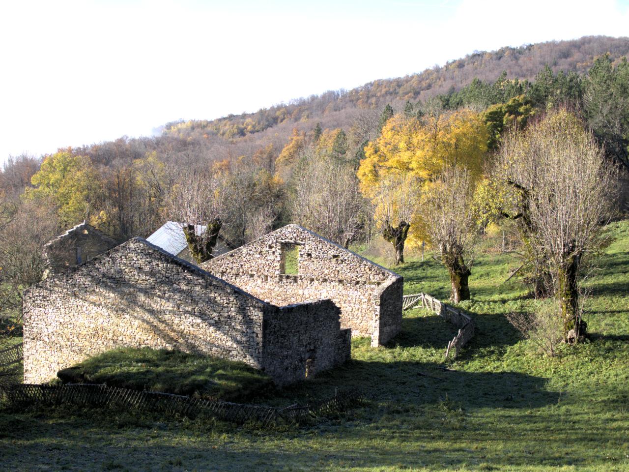 Randonnée à la Goulandière