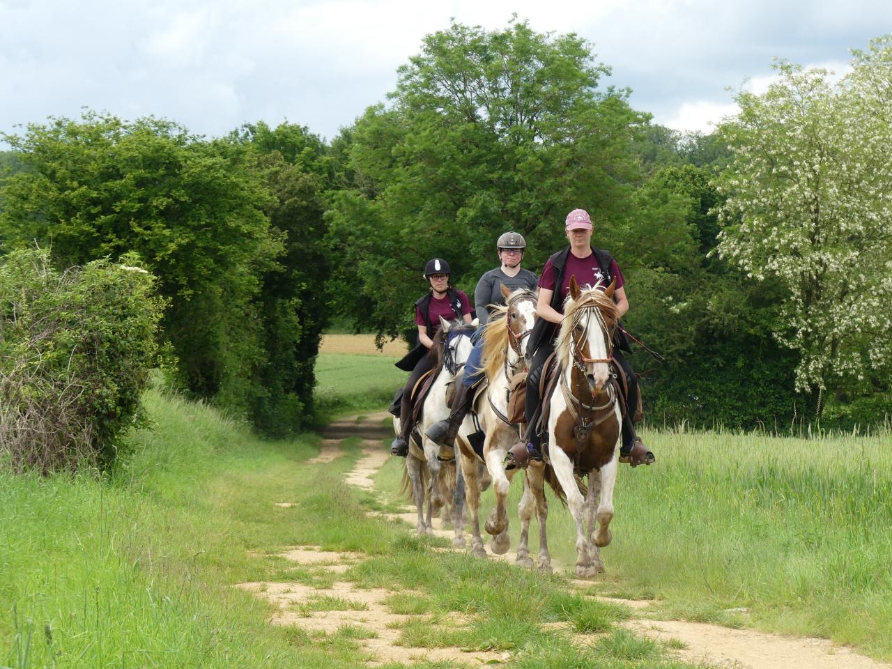 balades à cheval sur place