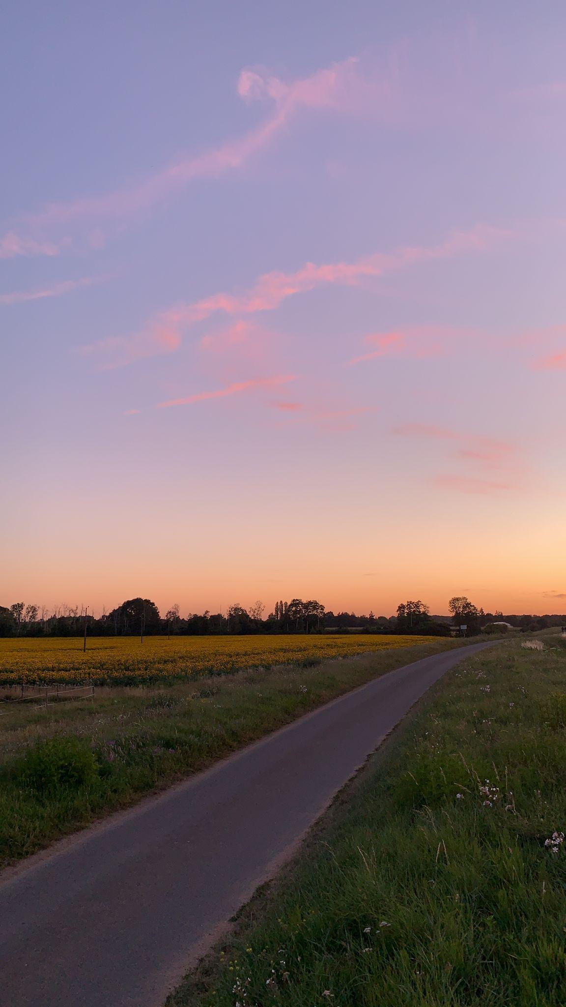 Randonnées à pieds ou à vélo