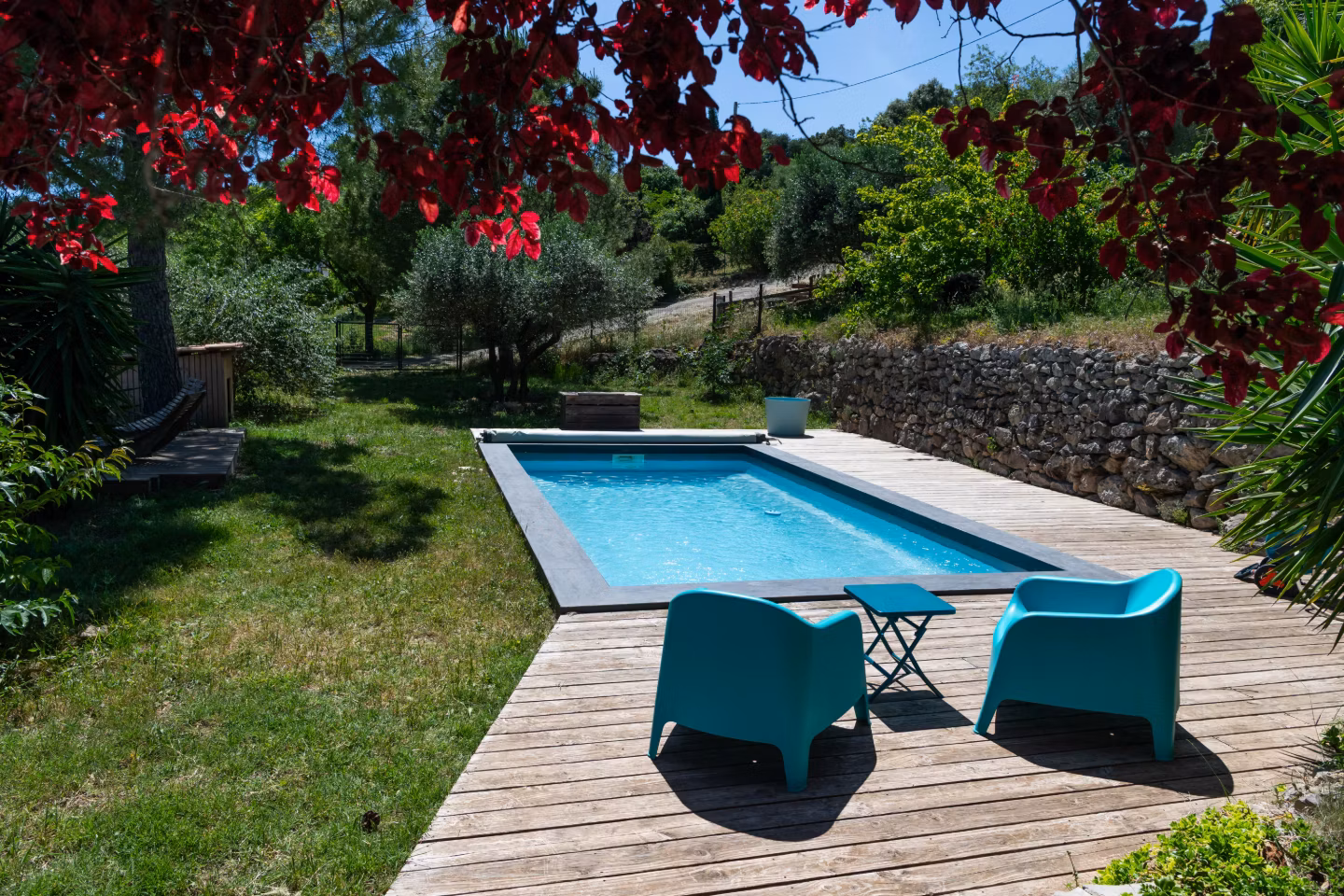 Piscine dans un écrin de verdure
