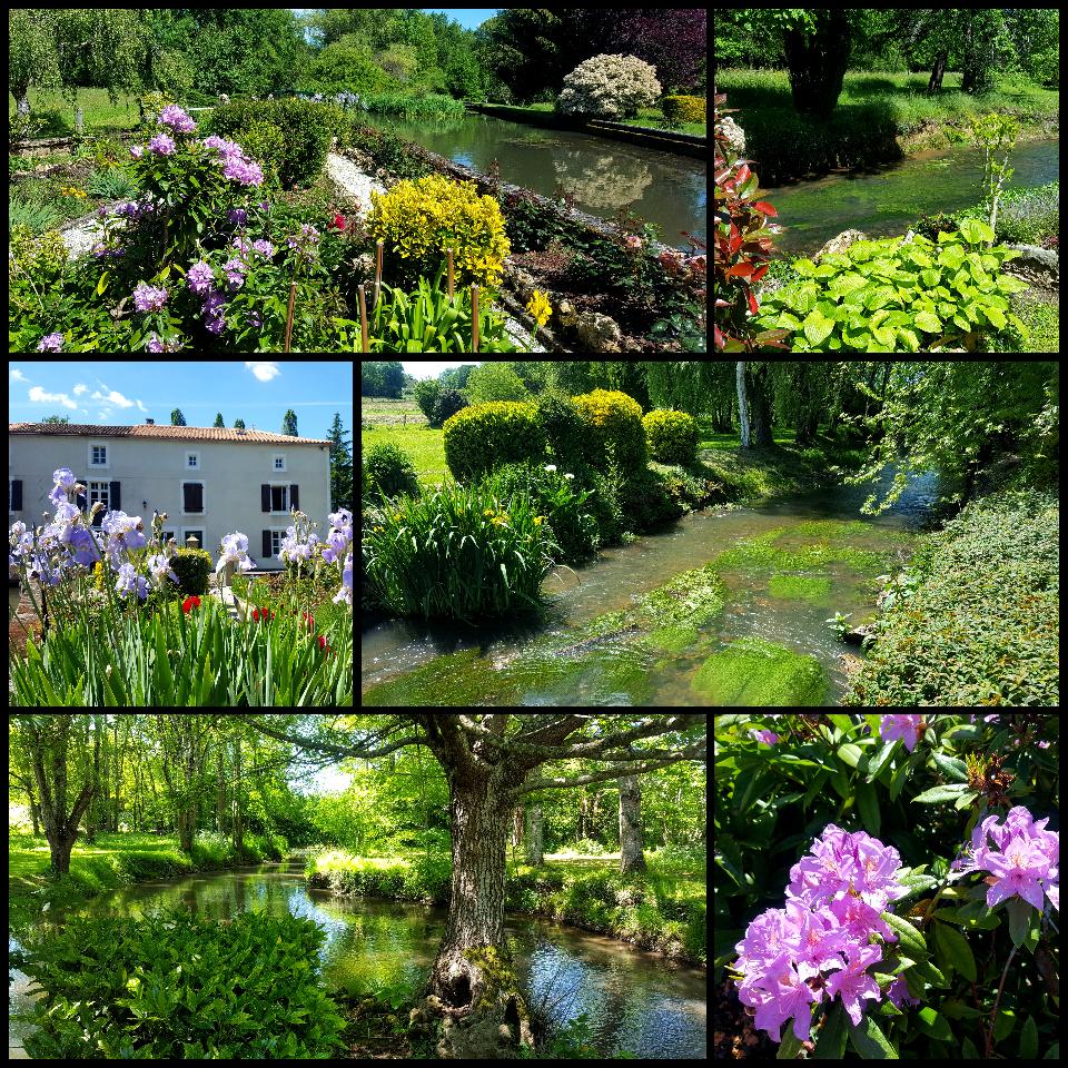 Au milieu coule La Bonnieure