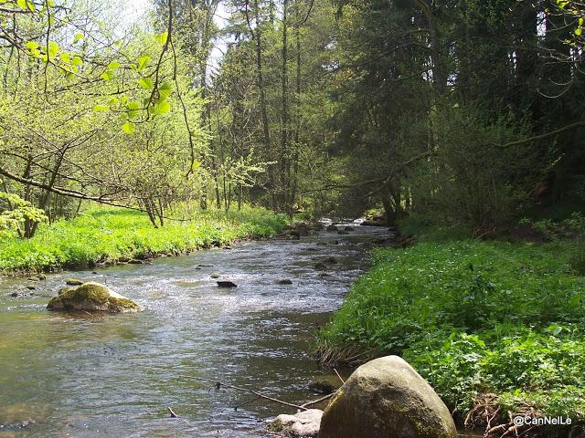 A 200 m de la Vologne