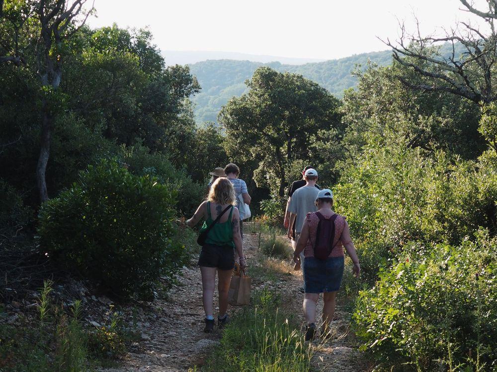 Randonnée découverte de la nature