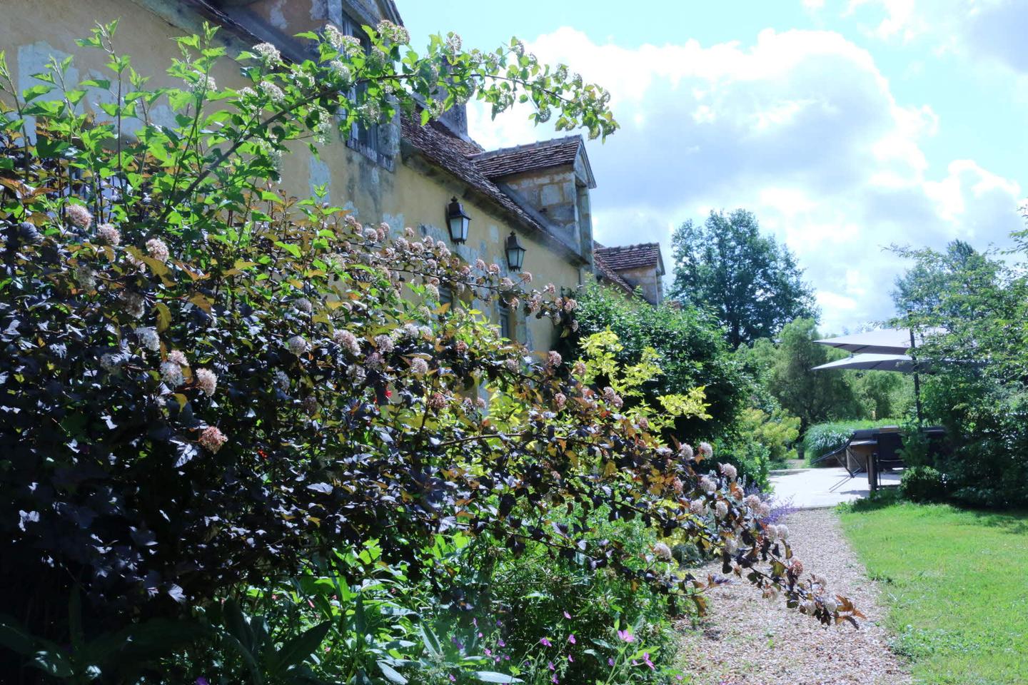 Jardin bio mi sauvage