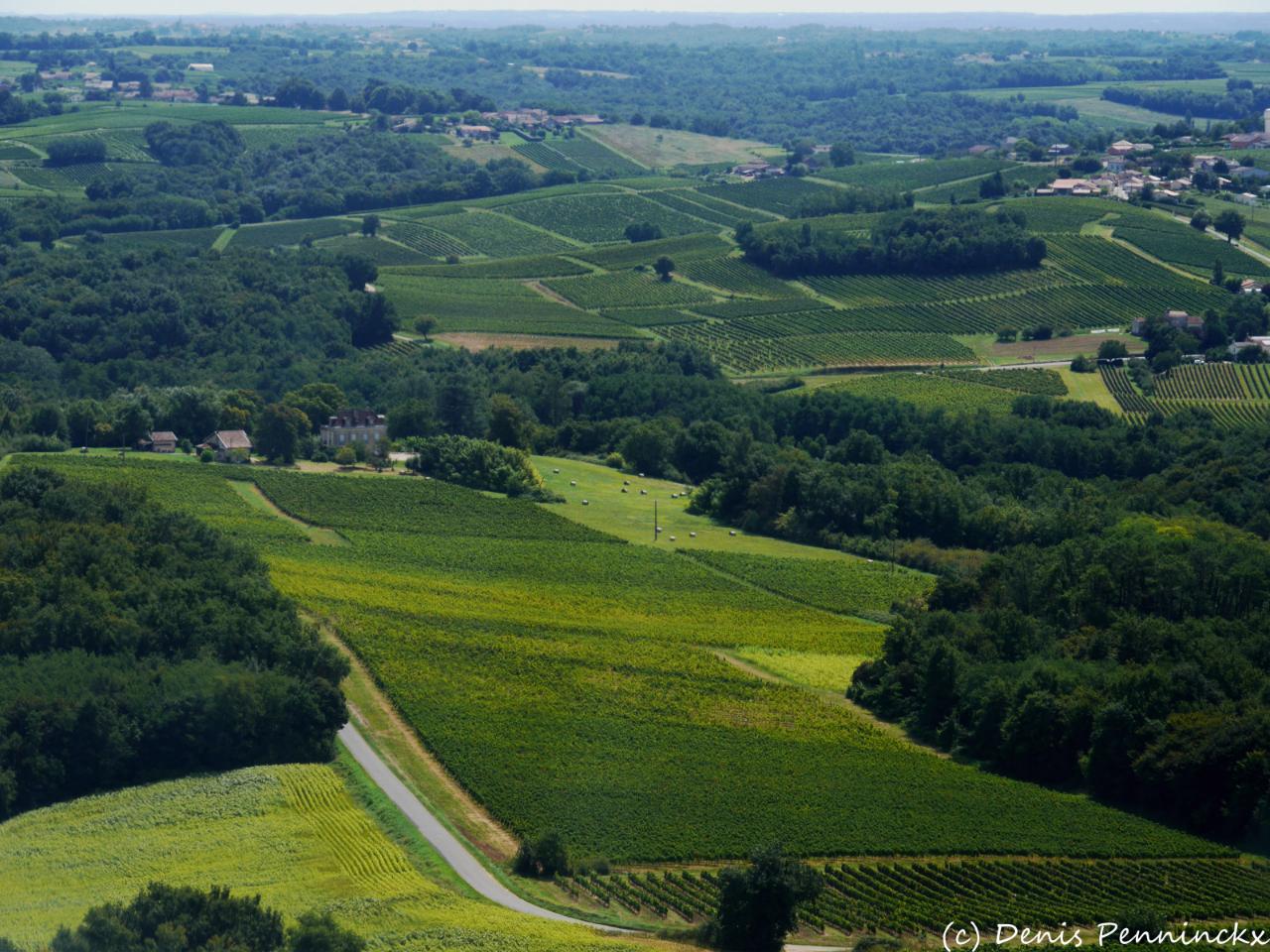 Une parenthèse hors du temps, entre vignes et forêt 🍃