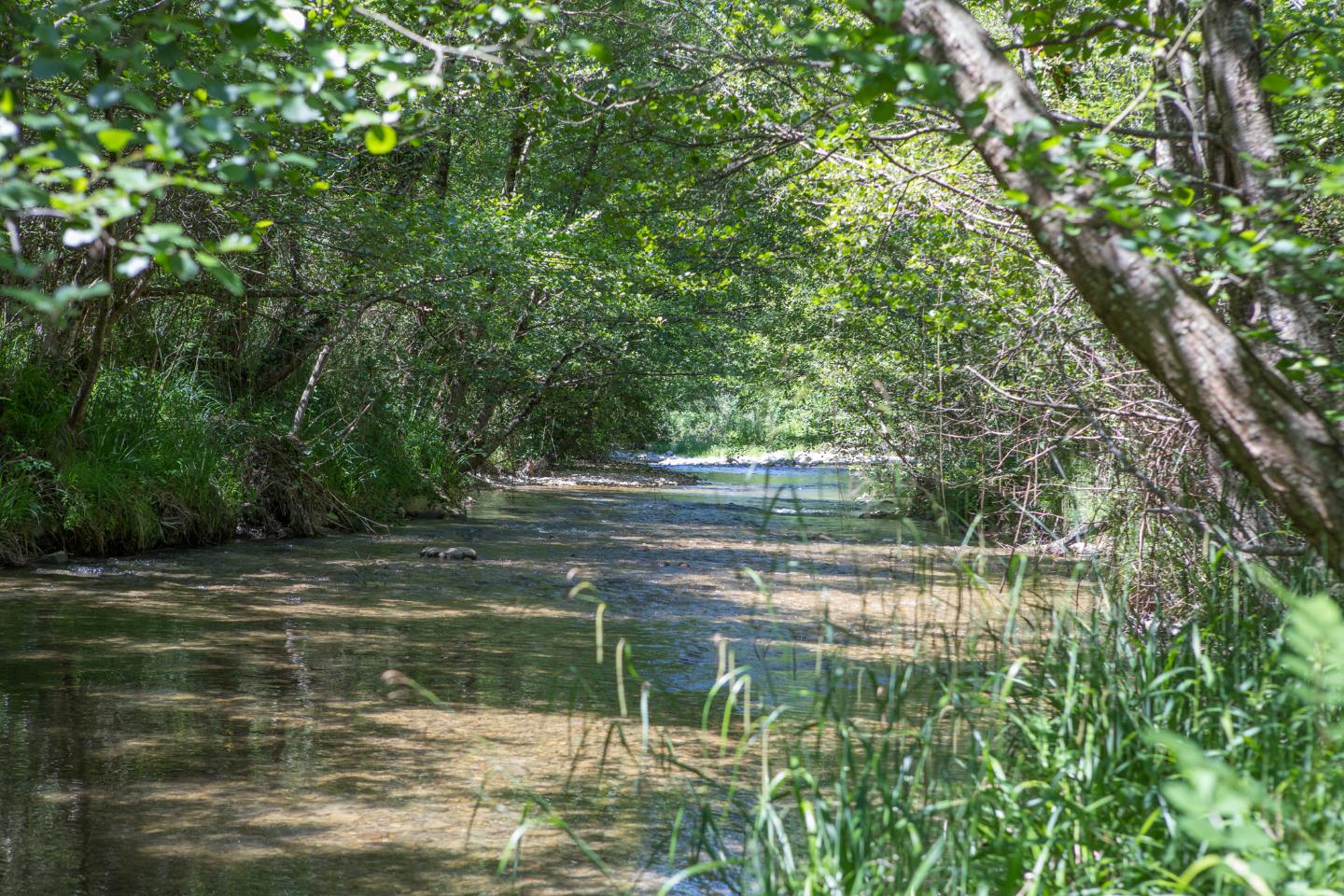Une rivière sauvage rien que pour vous