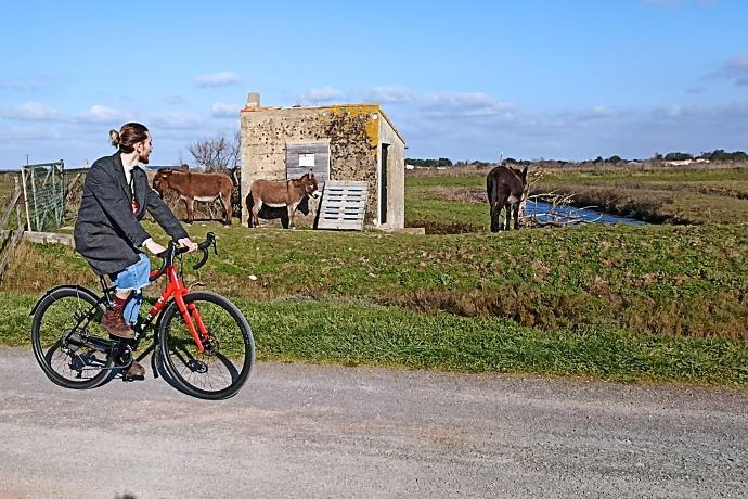 Balade à vélo dans les marais