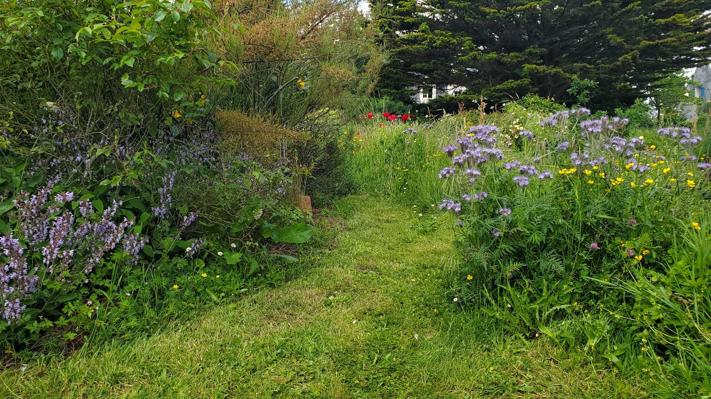 Jardin naturel autour de la maison