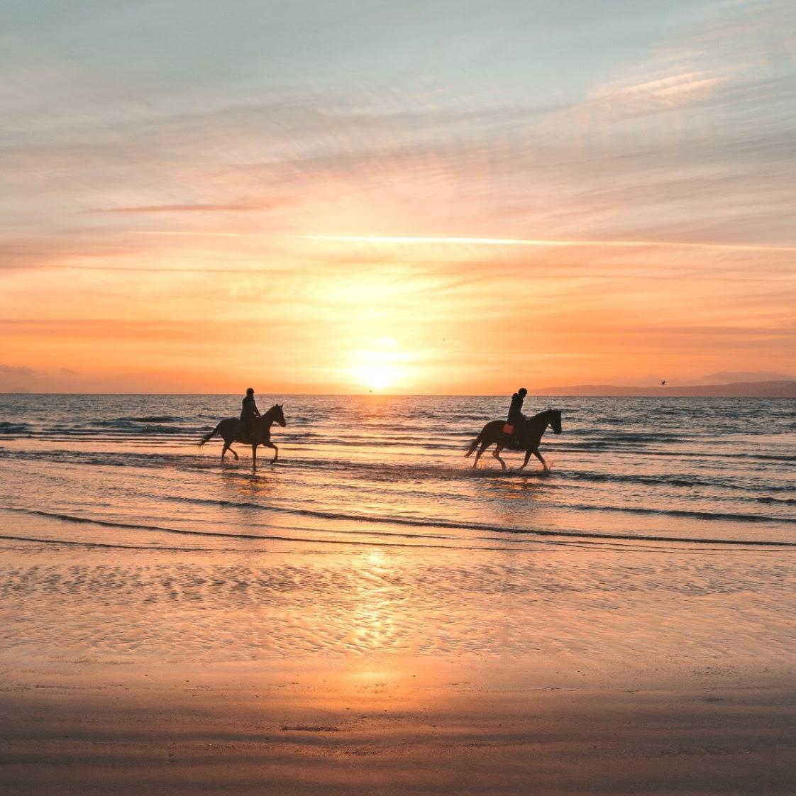 Activités en bord de mer