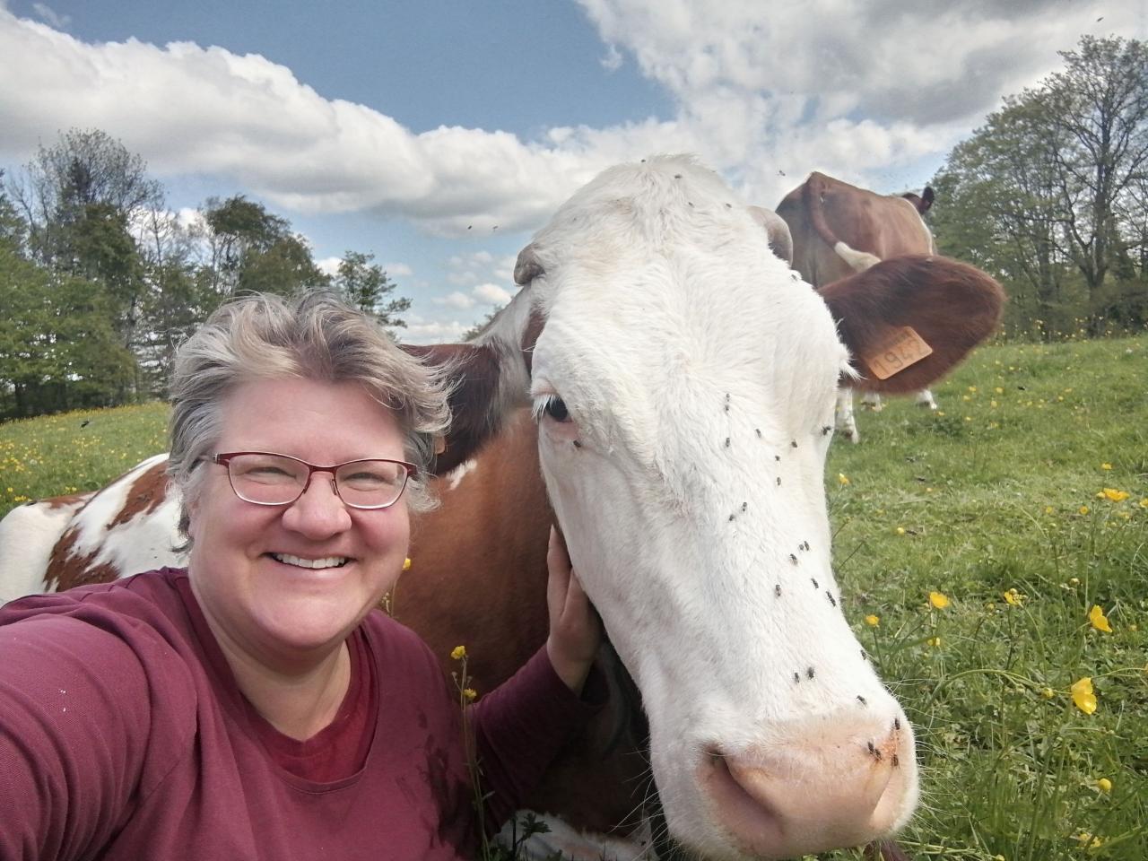 Visite de la ferme - à 1km de la maison - gratuit
