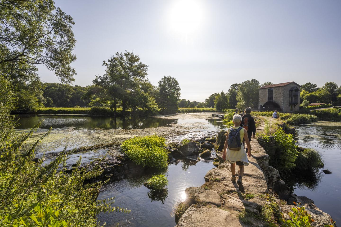 Les bords de sèvre à 20 min