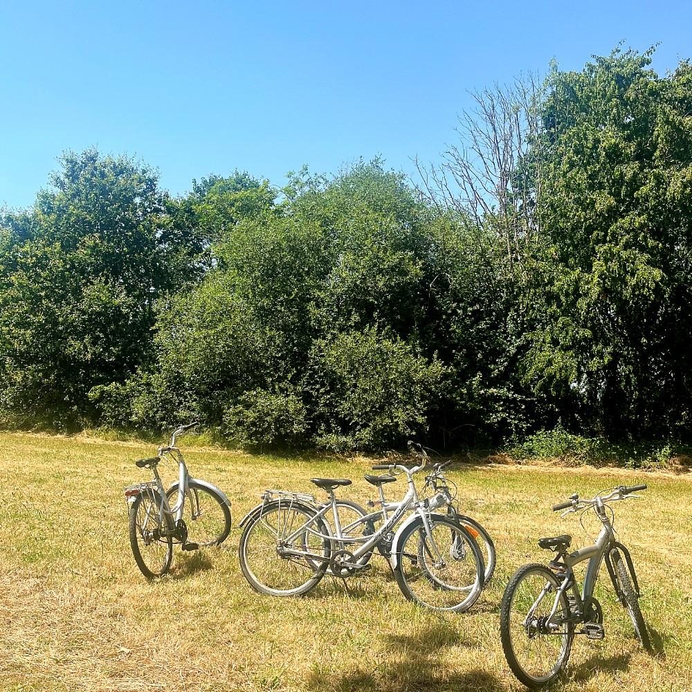 16 vélos à disposition pour explorer le Perche