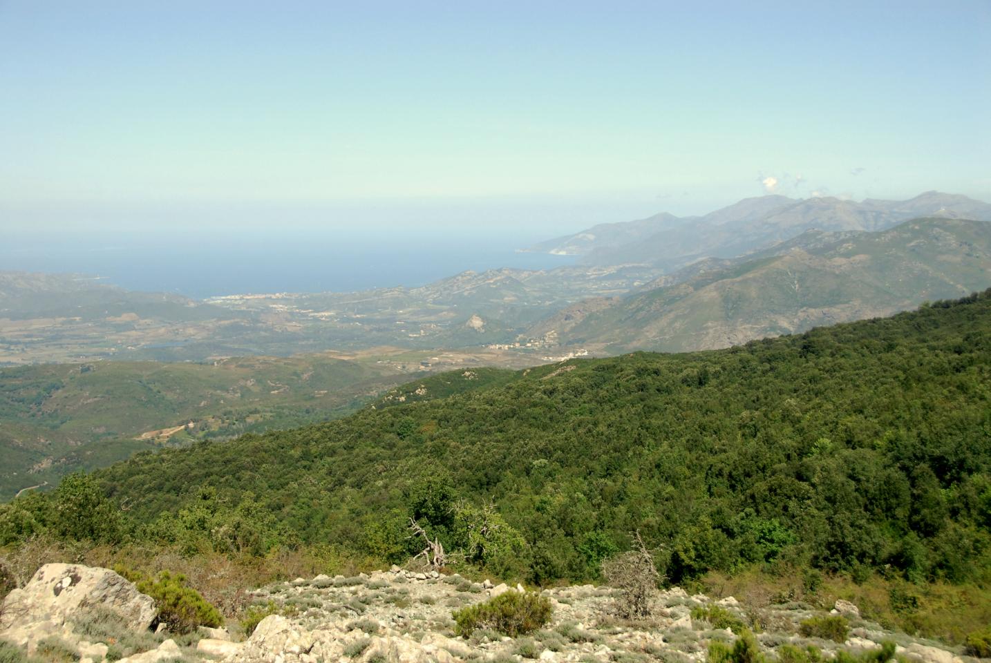 Au  coeur de parc régional de Corse. Séjour en tente tamiliale de 20 m2, entièrement équipée, avec matelas et literie complète, kitchenette, réfrigérateur, table pique-nique.
