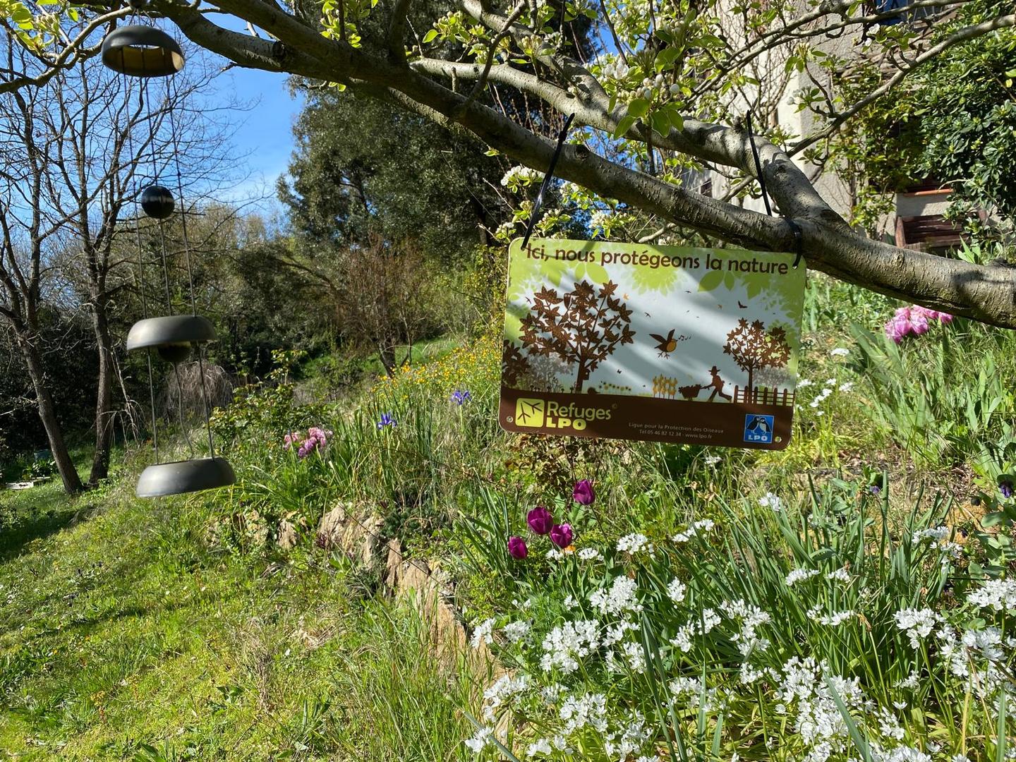 profitez de moments de détente et des produits que nous offre notre jardin