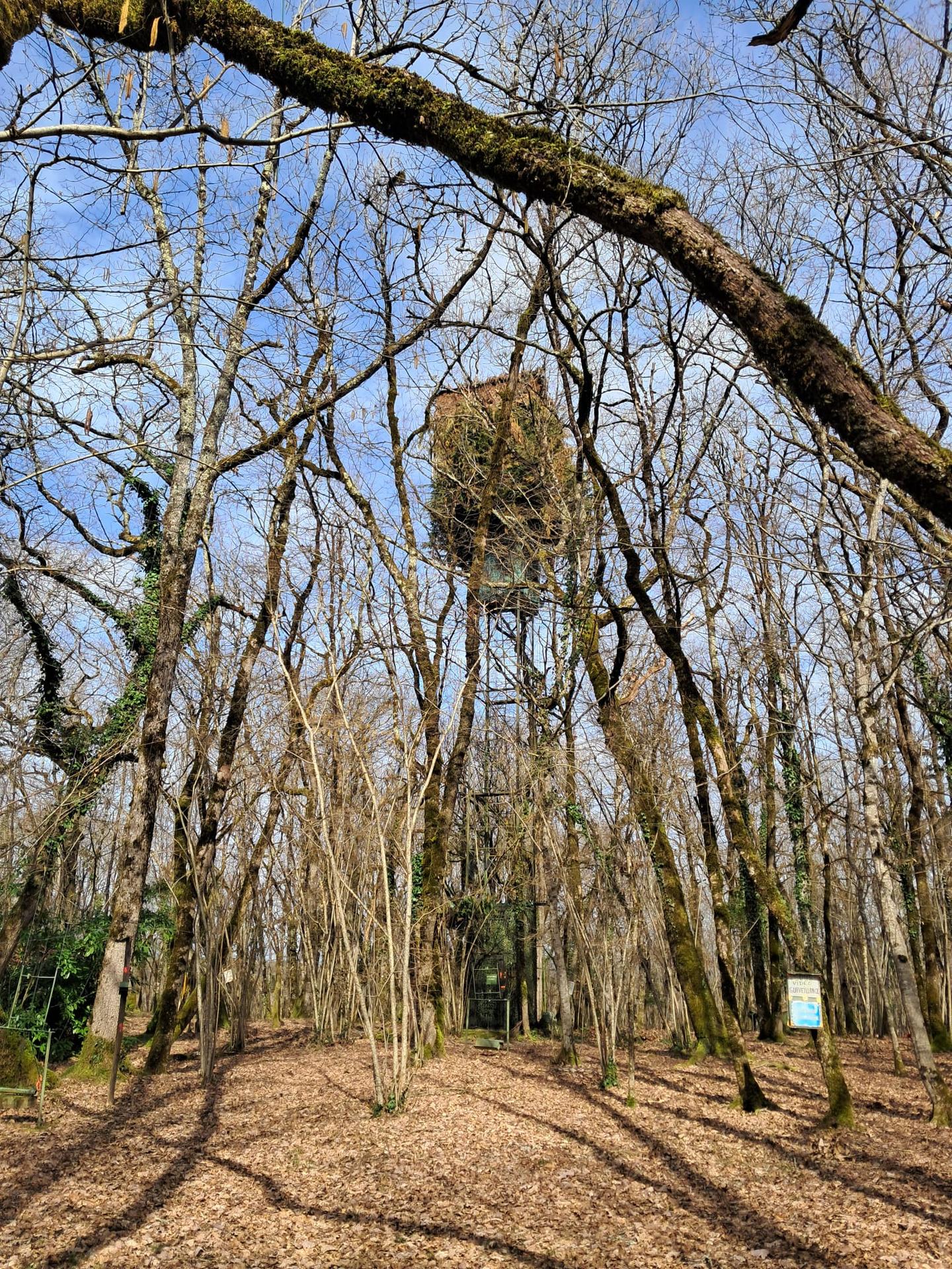 Aller marcher depuis le Prieuré