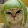 GreenGo - Voyageur GreenGo - Julien