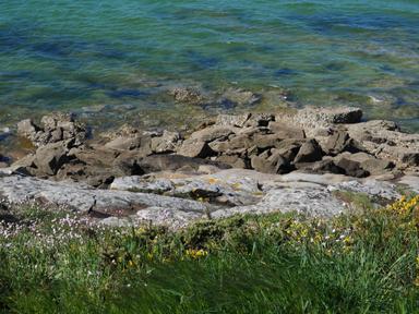 GreenGo - Location à Carnac