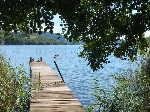 Logement GreenGo: La Roselière, maison les pieds dans l'eau et immersion dans la nature au lac de Paladru