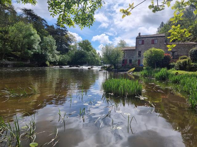 Logement GreenGo: Charmant Cottage 3* en bord de rivière