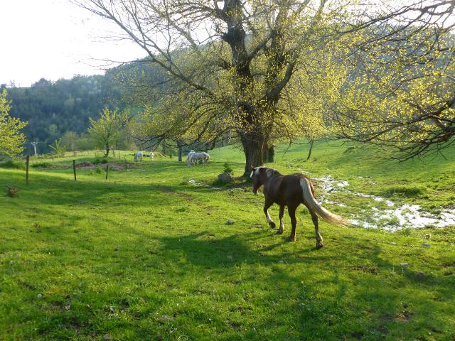 Logement GreenGo: Gîte du Parc régional des Monts d' Ardèche
