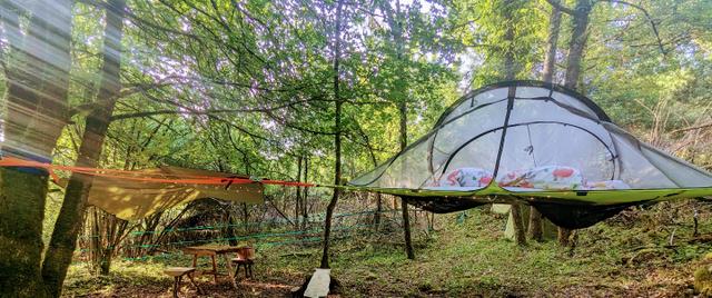 Logement GreenGo: Tent'ez les étoiles en forêt