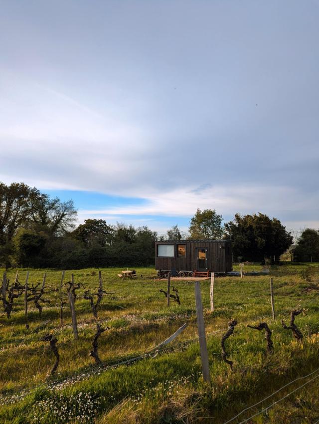 Logement GreenGo: Tiny House vue sur vignes !