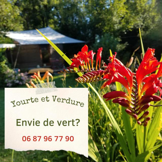 Logement GreenGo: Yourte et Verdure