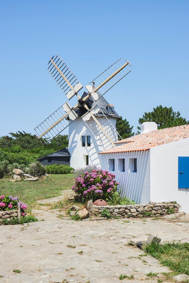 GreenGo - Déconnexion