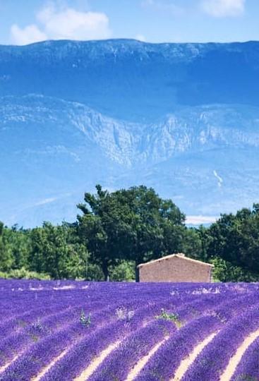 GreenGo - Provence