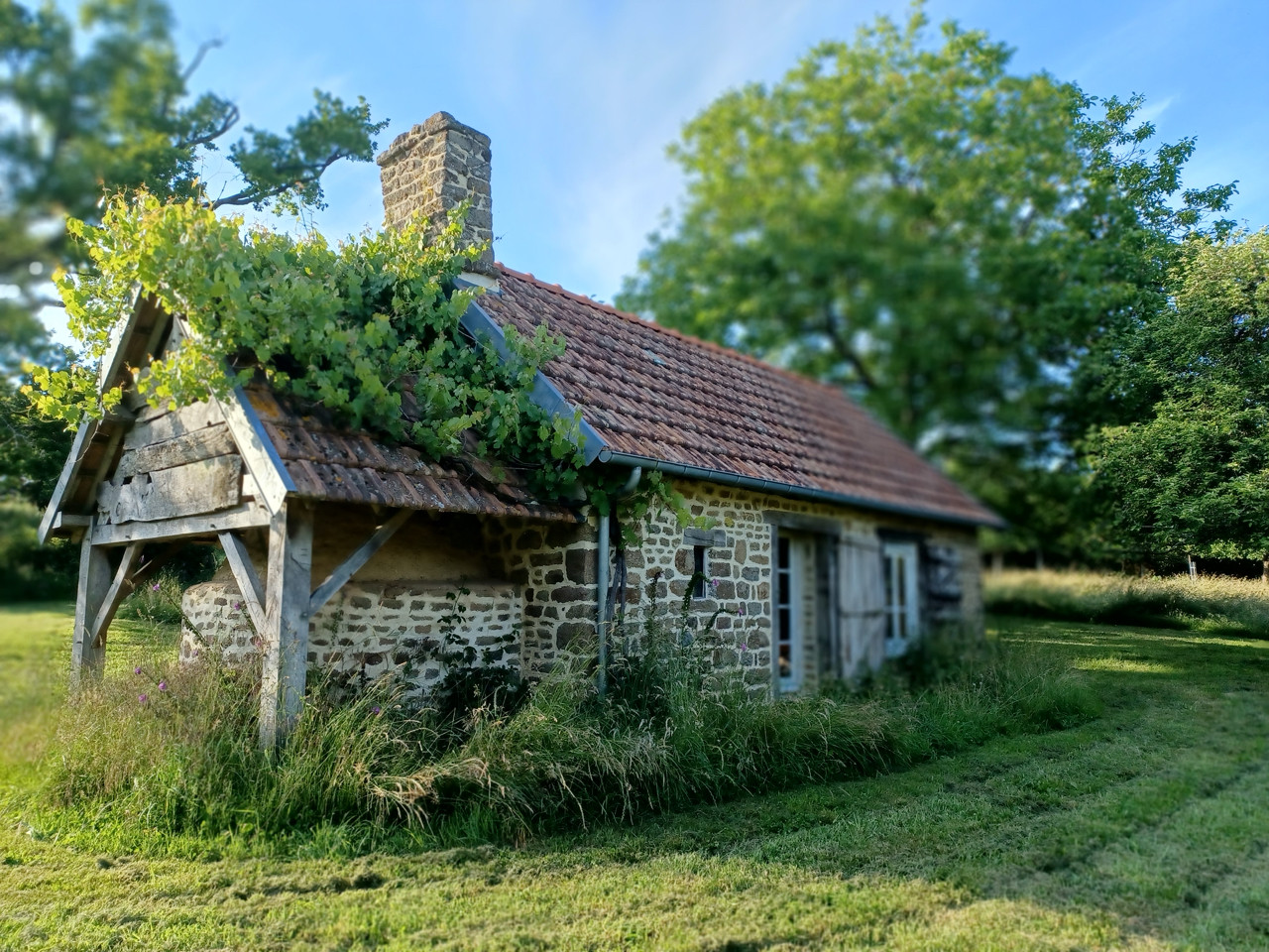 orderedImageAlt_accommodation_default