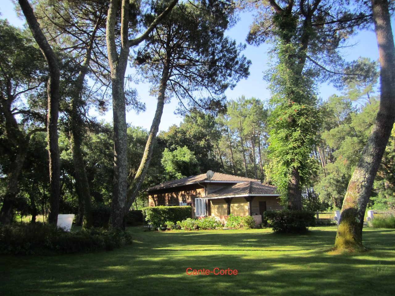 orderedImageAlt_accommodation_default