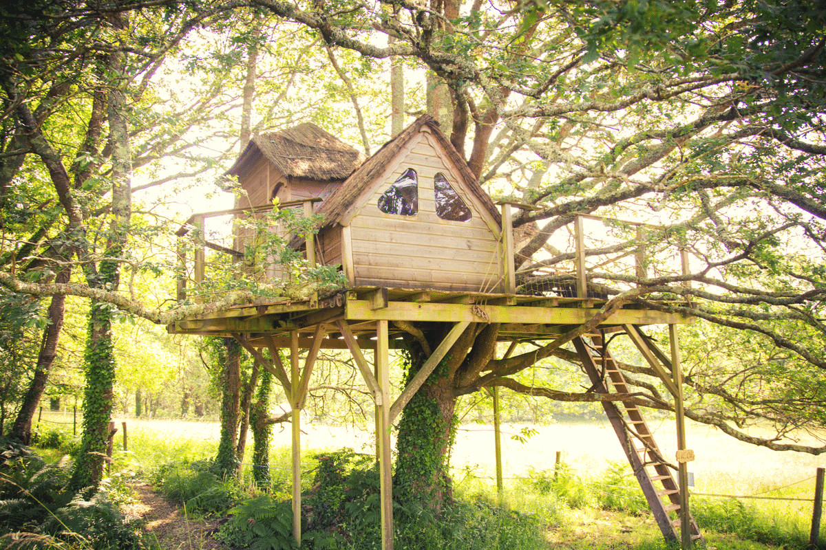 orderedImageAlt_accommodation_default