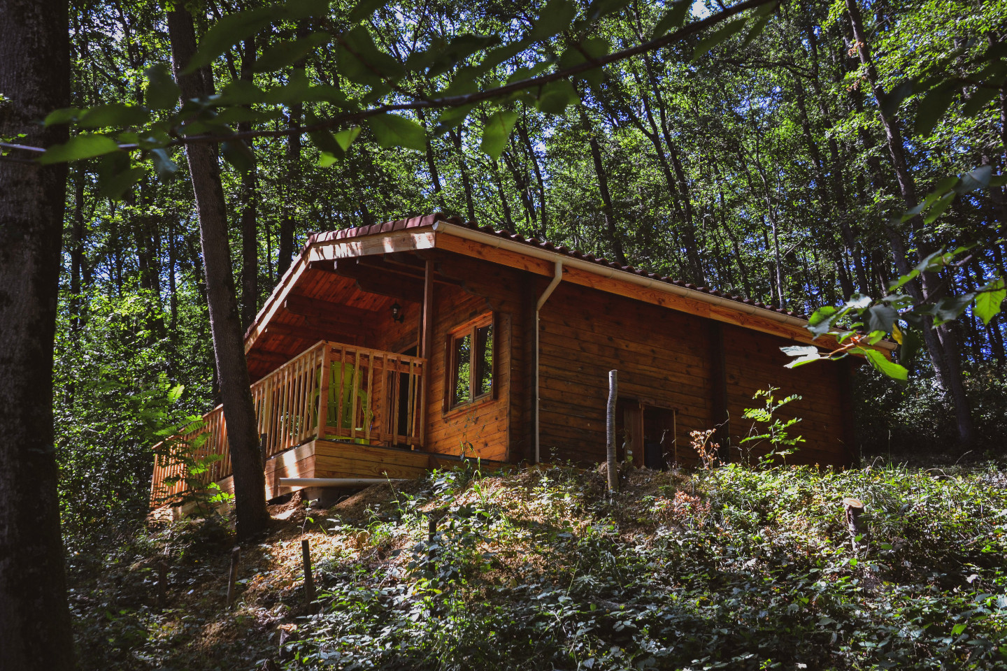 orderedImageAlt_accommodation_default