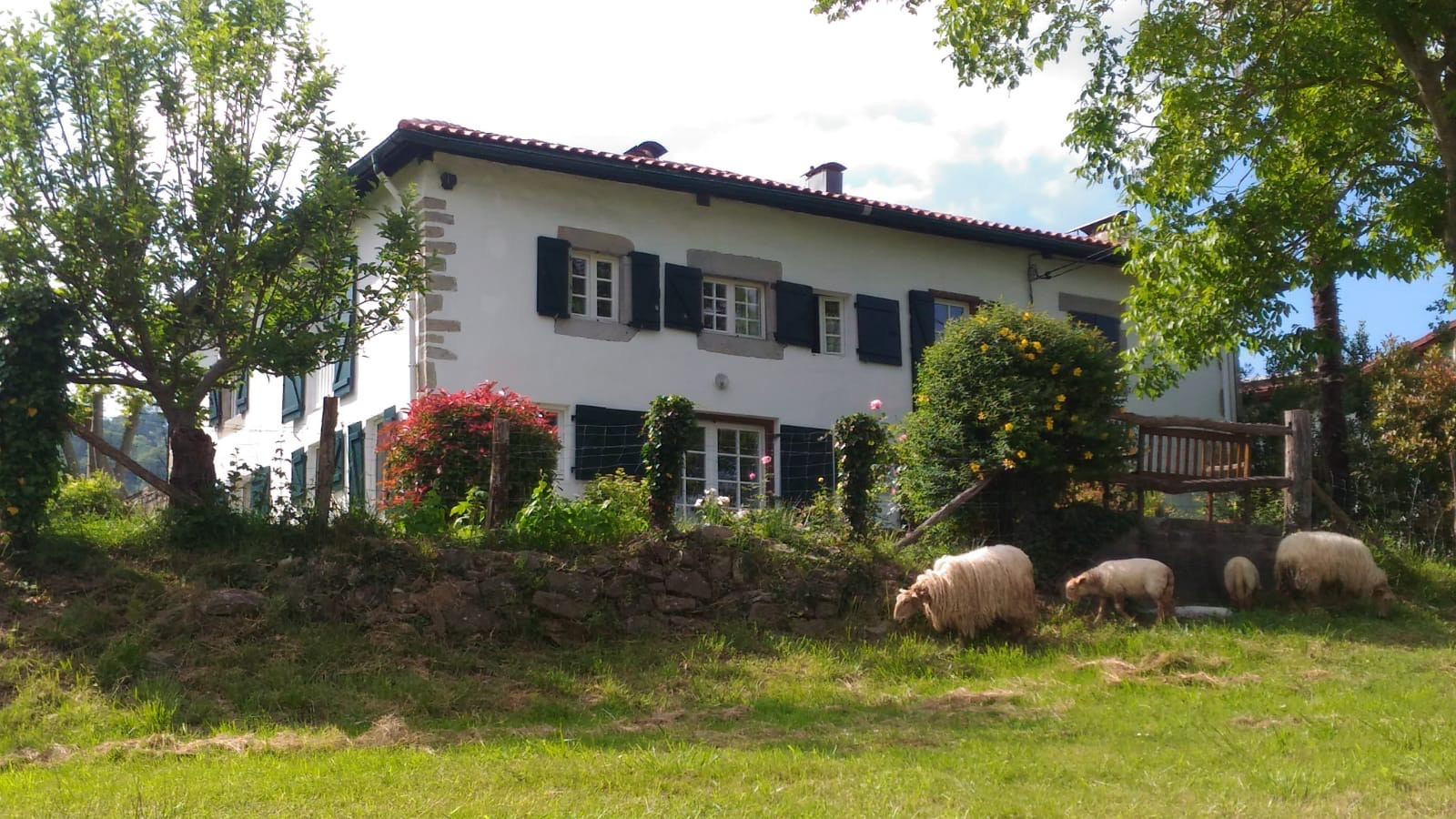 orderedImageAlt_accommodation_default