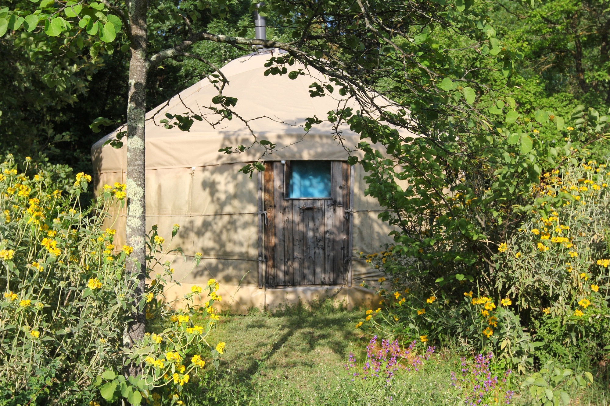 orderedImageAlt_accommodation_default