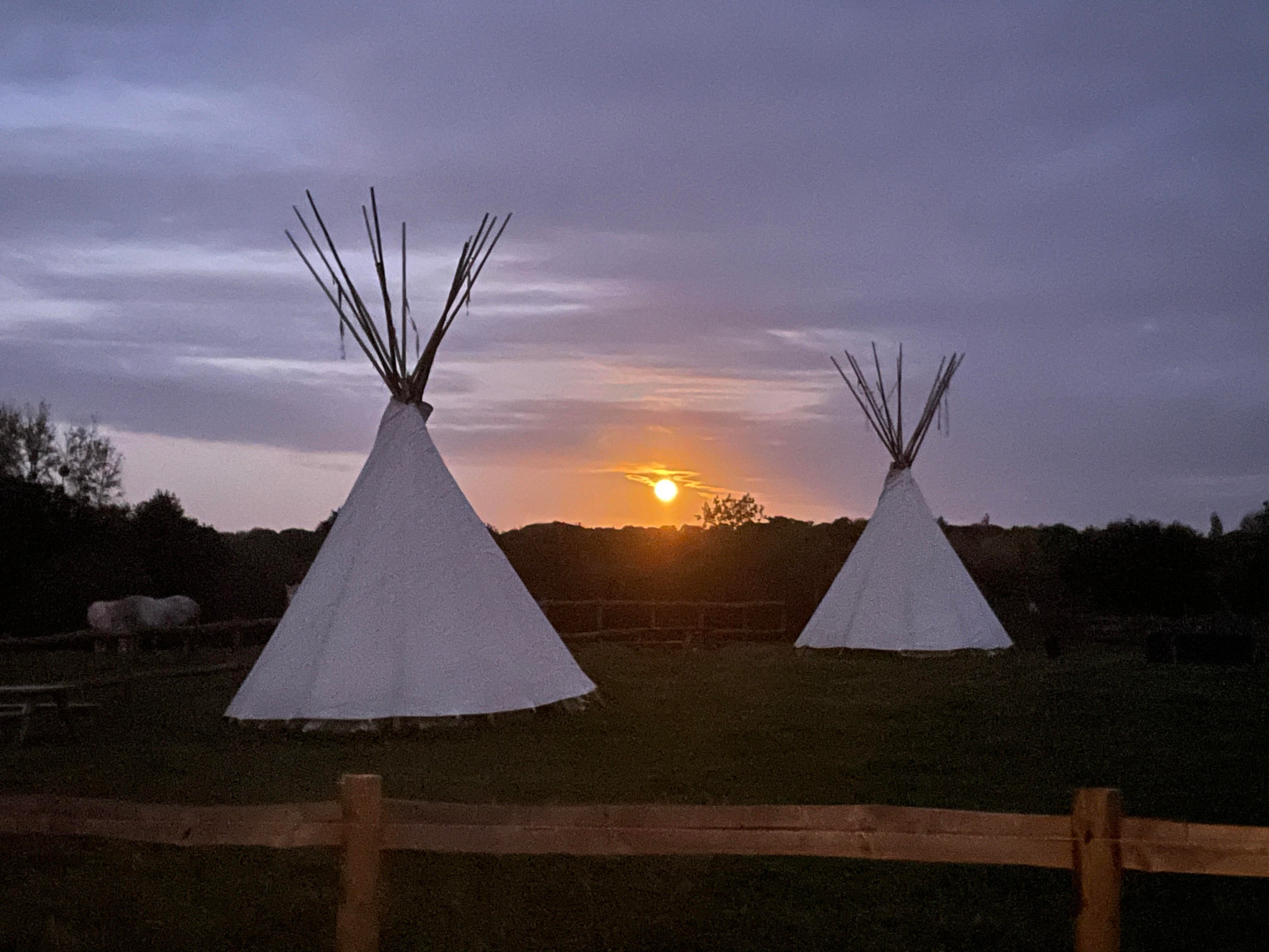 Logement GreenGo: Séjour à la ferme avec ânes, poules, vaches  et nuit en tipi !