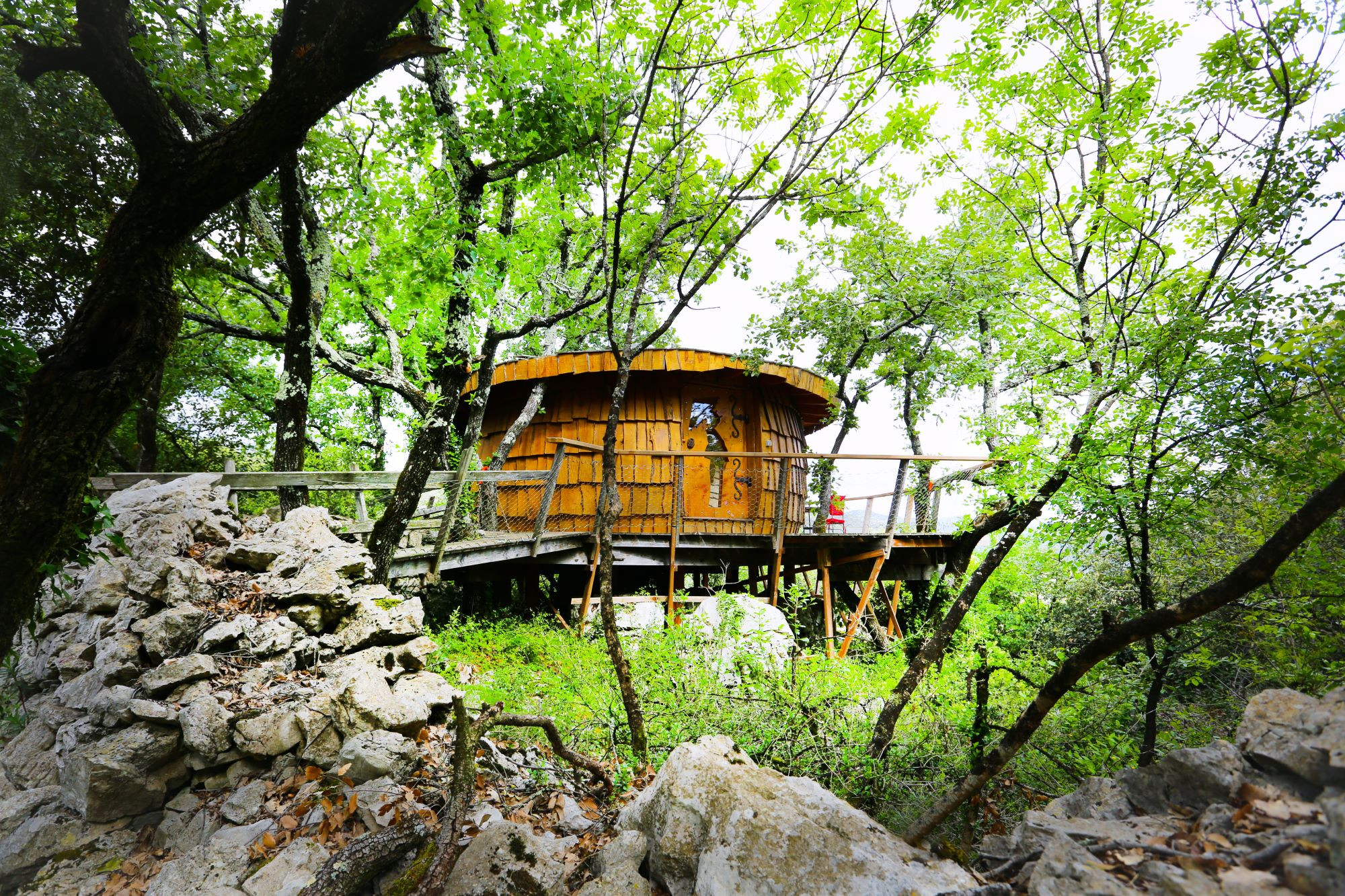 orderedImageAlt_accommodation_default