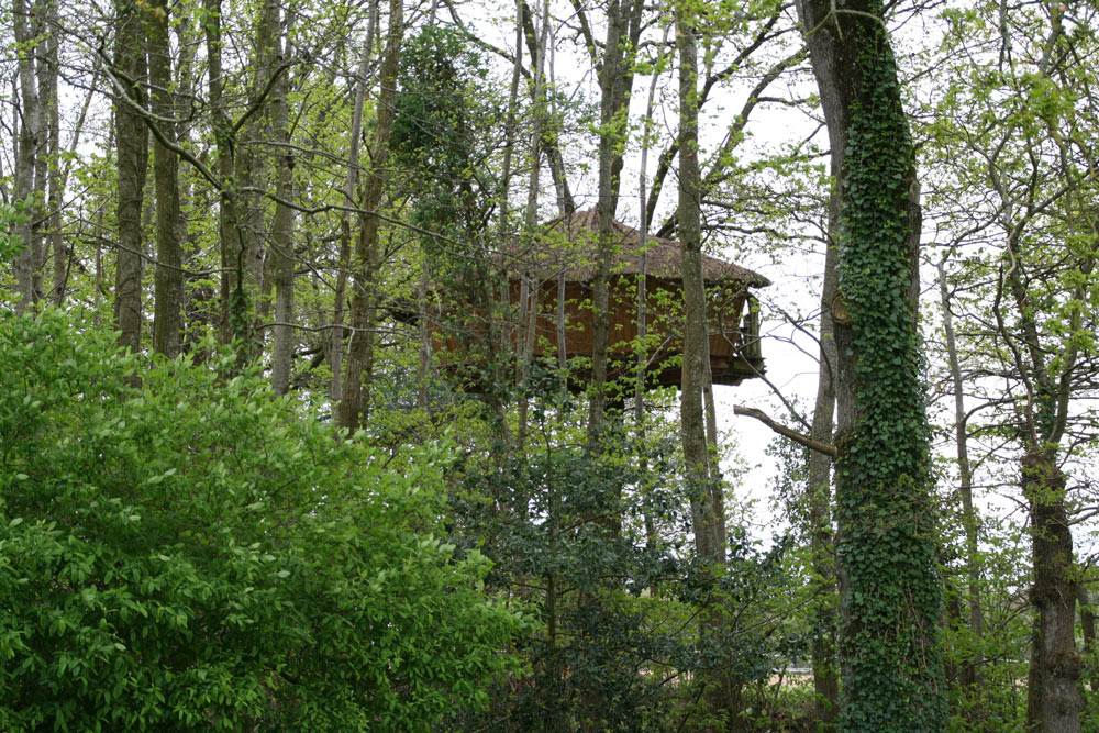 orderedImageAlt_accommodation_default