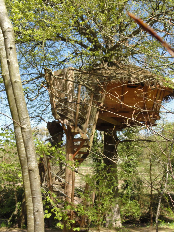 Logement GreenGo: Cabane Gunnéra