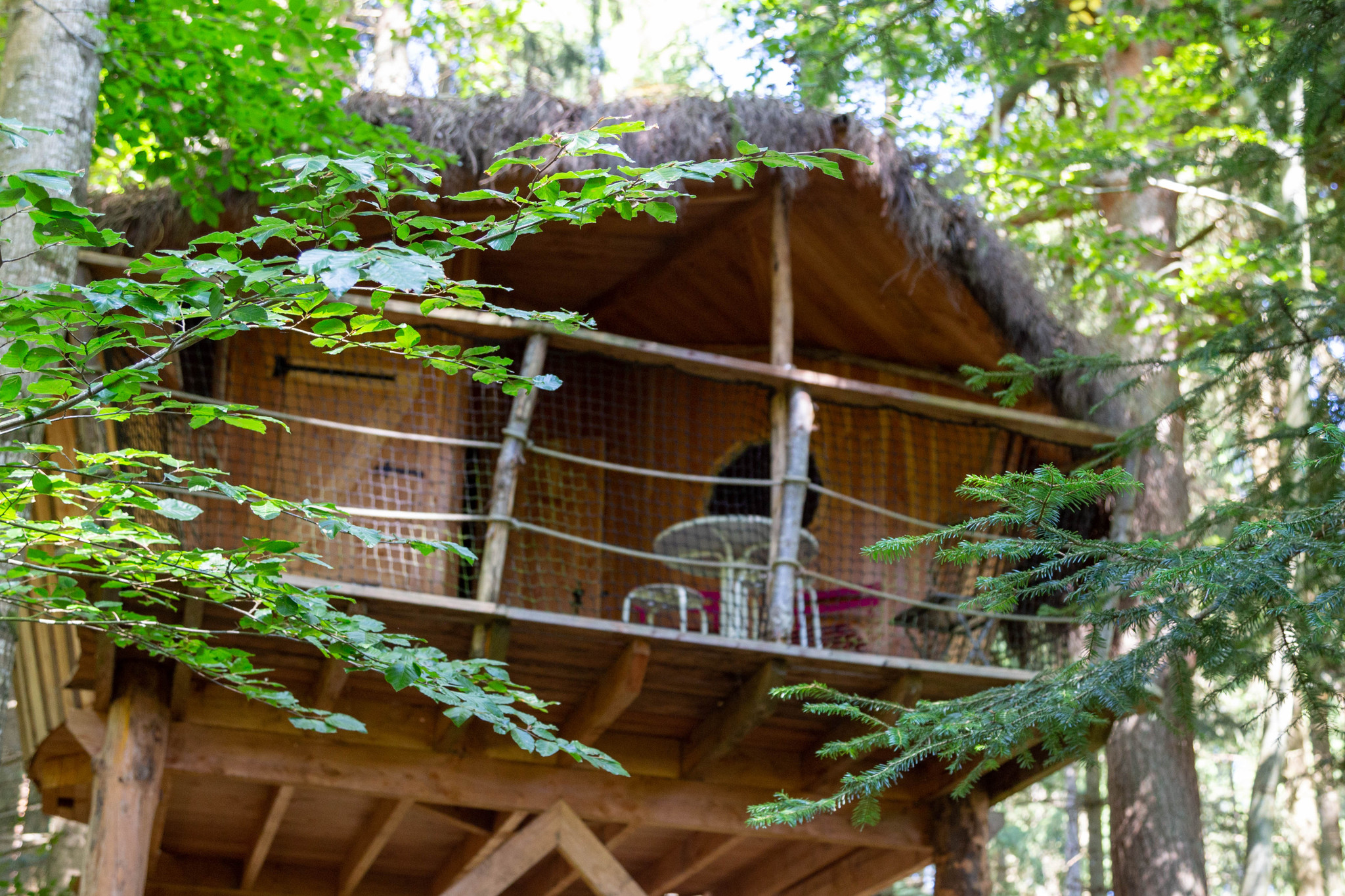 orderedImageAlt_accommodation_default
