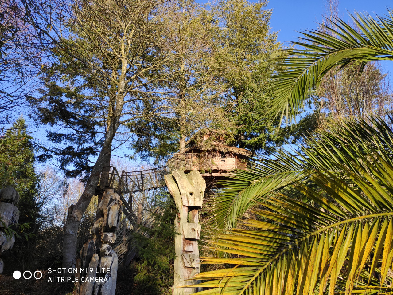 Logement GreenGo: Cabane Ar Maen