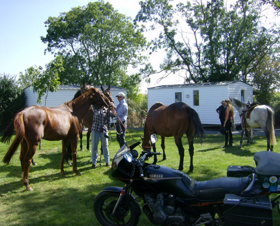 orderedImageAlt_accommodation_default