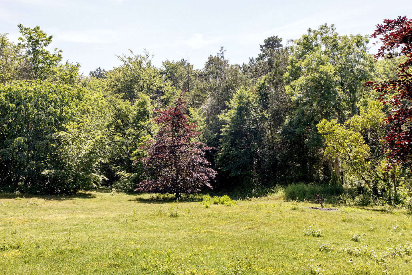 GreenGo location vacances écoresponsables