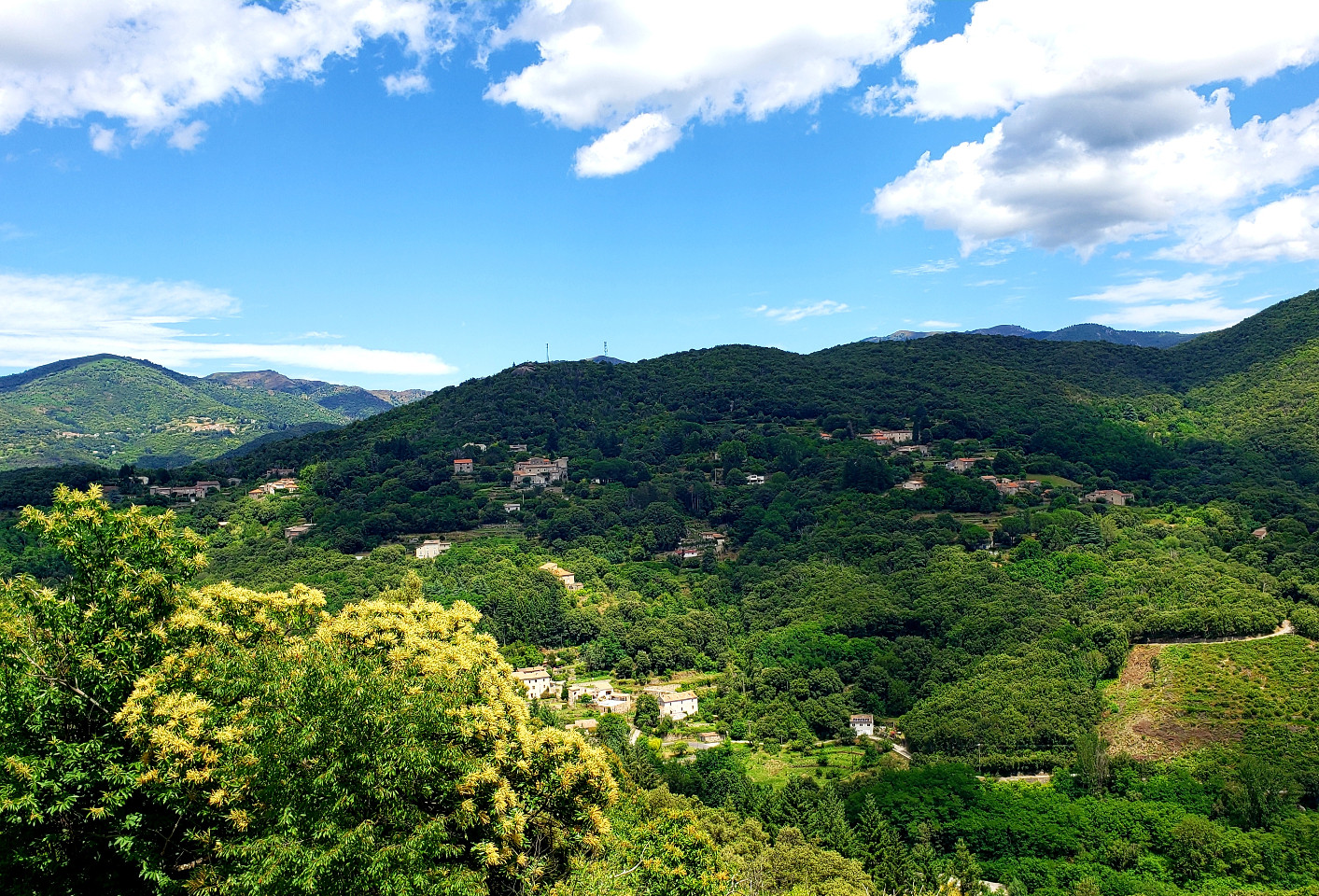 GreenGo location vacances écoresponsables
