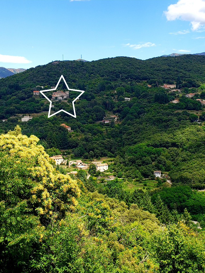 GreenGo La Yourte aux Bambous en Cévennes