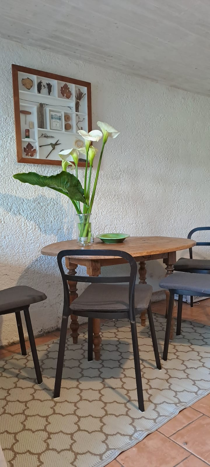 GreenGo location vacances écoresponsables